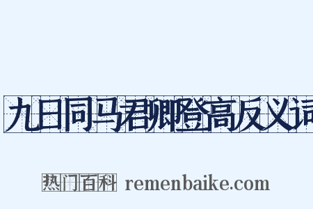 九日同马君卿登高反义词是什么意思的图片